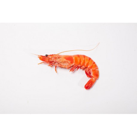 100 gr. Crevettes sauvages « géantes »